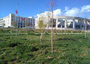 munzur-universitesi-2